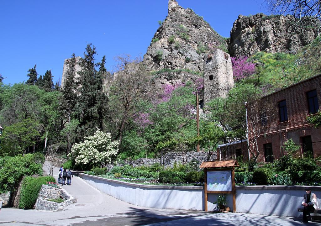 Apartment On Botanikuri Tbilisi Pokoj fotografie